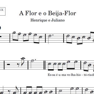 A Flor e o Beija-Flor - Partitura para Instrumentos em Sib